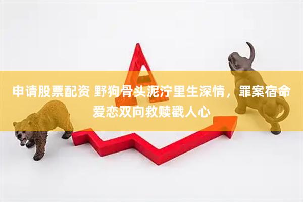 申请股票配资 野狗骨头泥泞里生深情，罪案宿命爱恋双向救赎戳人心